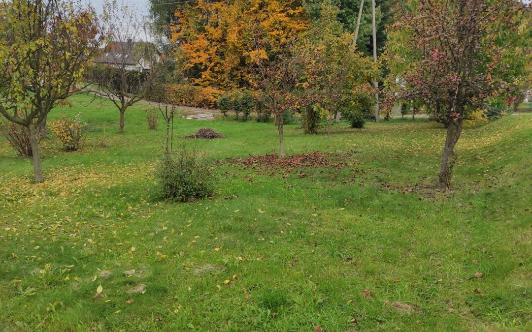 Pierwsza licytacja 1/2 części nieruchomości (elektroniczna) – od 23.04.2026 r. godz. 12:00 do 30.04.2026 r. godz. 12:00